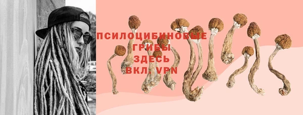 трава Алзамай