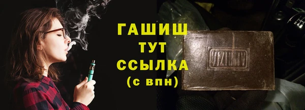 гашик Алексин