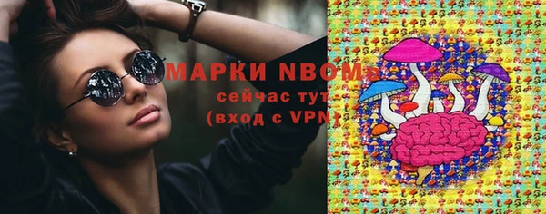 гашик Алексин