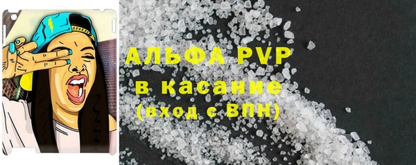 гашик Алексин
