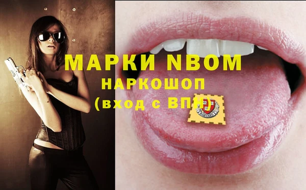 гашик Алексин